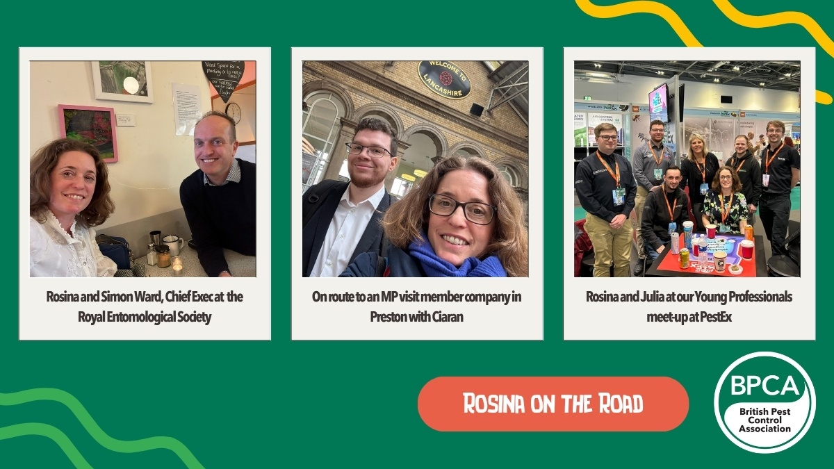 RosinaontheRoad4 RosinaontheRoad4